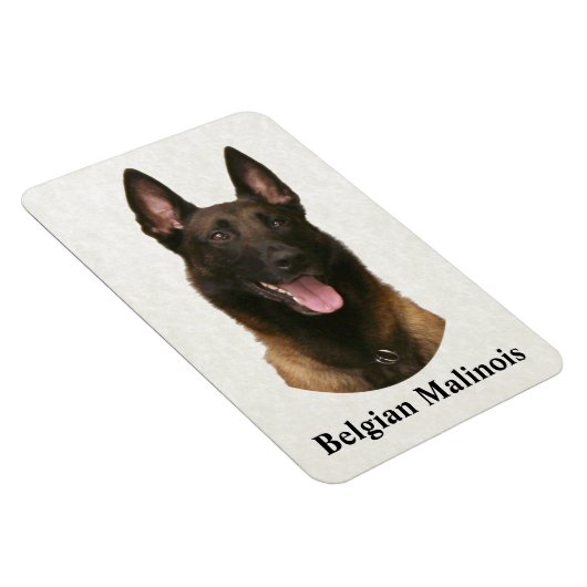 Belgischer Malinois Magnet (Rechte Seite)