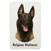 Belgischer Malinois Magnet (Vertikal)