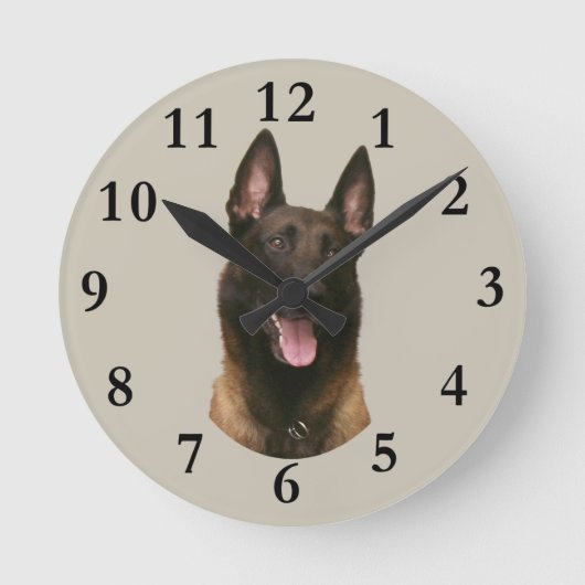 Belgischer Malinois Runde Wanduhr (Vorderseite)