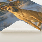 Belgischer Malinois Urlaub Sherpadecke (3/4)