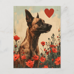 Belgischer Malinois Valentinstag im Vintage-Stil Postkarte