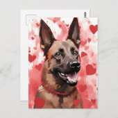 Belgischer Malinois-Valentinstag Postkarte (Vorne/Hinten)