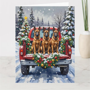 Belgischer Malinois Weihnachten Rotes Lastwagen Fe Karte