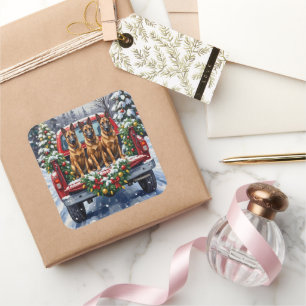 Belgischer Malinois Weihnachten Rotes Lastwagen Fe Quadratischer Aufkleber