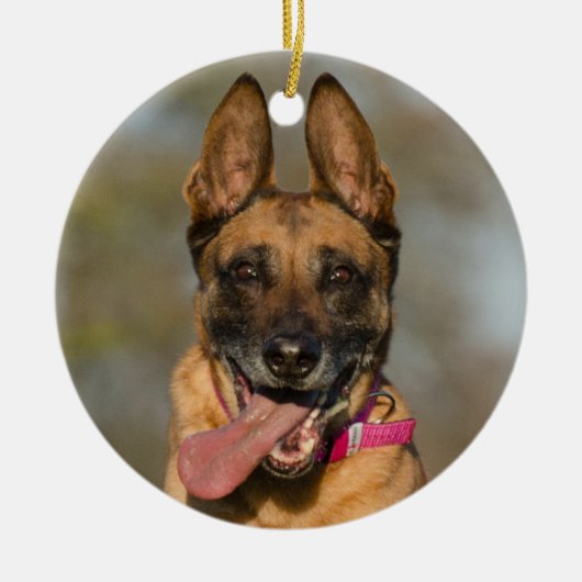 Belgischer Malinois Welpenhund Keramik Ornament (Vorne)