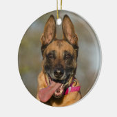 Belgischer Malinois Welpenhund Keramik Ornament (Links)