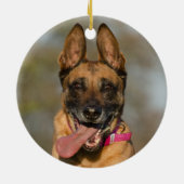 Belgischer Malinois Welpenhund Keramik Ornament (Hinten)