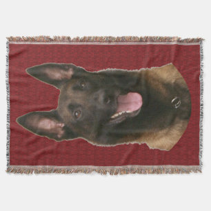 Belgischer Malinois werfen Decke