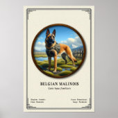 Belgischer Malinois Zoologie-Serie Poster (Vorne)