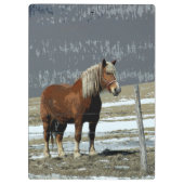 Belgischer Pferdeentwurf in der Paddock-Zwischenab Klemmbrett (Rückseite)