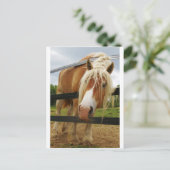 Belgischer Pferdewechsel, Got Karotten? Postkarte (Stehend Vorderseite)