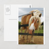 Belgischer Pferdewechsel, Got Karotten? Postkarte (Vorne/Hinten)