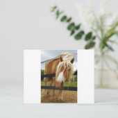 Belgischer Pferdewechsel, Got Karotten? Postkarte (Stehend Vorderseite)