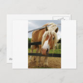 Belgischer Pferdewechsel, Got Karotten? Postkarte (Vorne/Hinten)