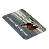Belgischer Pferdewechsel in Paddock Flexible Magne Magnet (Rechte Seite)