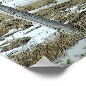 Belgischer Pferdewechsel in Paddock-Poster Poster (Ecke)