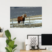 Belgischer Pferdewechsel in Paddock-Poster Poster (Heimbüro)