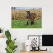 Belgischer Pferdewechsel vor einem Maisfeld Poster (Heimbüro)