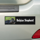 Belgischer Schäfer-Autoaufkleber Autoaufkleber (Auf Auto)