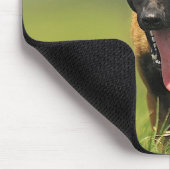 Belgischer Schäfer-Hund Mousepad (Ecke)