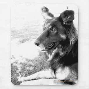 Belgischer Schäfer-Hund Schwarzweiss-Mousepad Mousepad