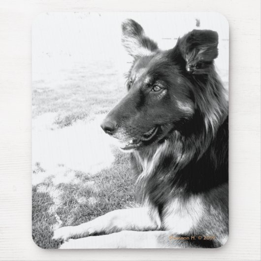 Belgischer Schäfer-Hund Schwarzweiss-Mousepad Mousepad (Vorne)