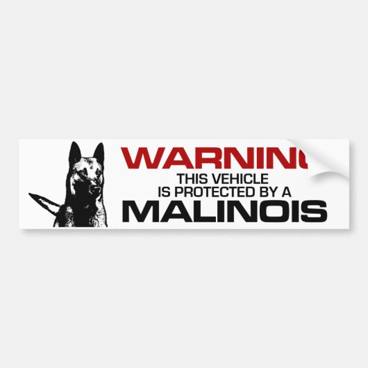 Belgischer Schäfer - Malinois Autoaufkleber (Vorne)