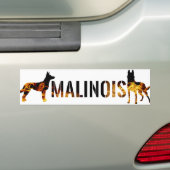 Belgischer Schäfer - Malinois Autoaufkleber (Auf Auto)