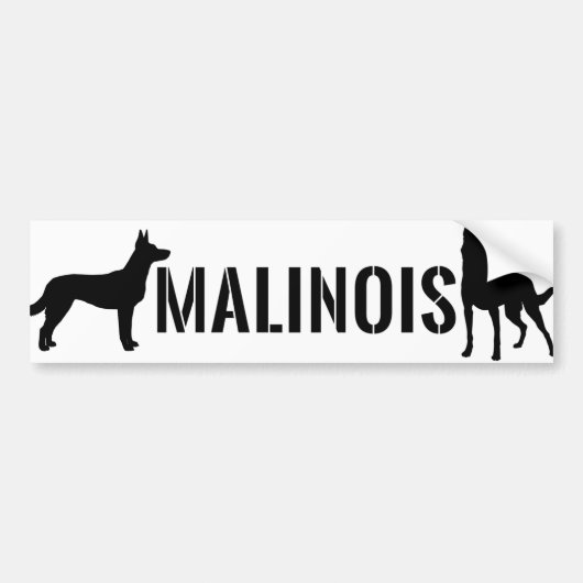 Belgischer Schäfer - Malinois Autoaufkleber (Vorne)