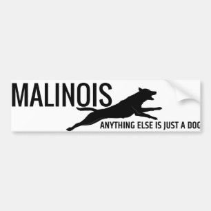 Belgischer Schäfer - Malinois Autoaufkleber