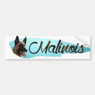 Belgischer Schäfer - Malinois Autoaufkleber