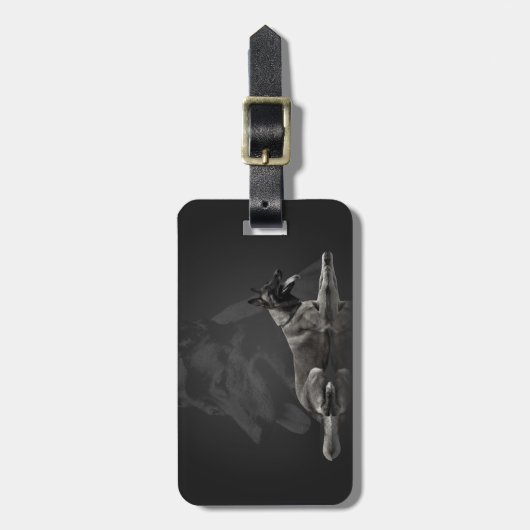 Belgischer Schäfer - Malinois Gepäckanhänger (Vorderseite vertikal)