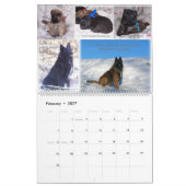 Belgischer Schäfer Tervuren Kalender (Feb 2027)