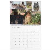 Belgischer Schäfer Tervuren Kalender (Mär 2027)