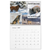 Belgischer Schäfer Tervuren Kalender (Jan 2027)