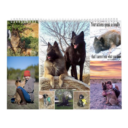 Belgischer Schäfer Tervuren Kalender (Titelbild)