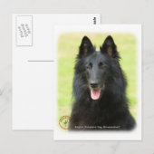 Belgischer Schäferhund 9M031D-24 Postkarte (Vorne/Hinten)