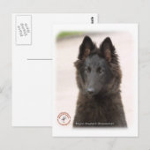 Belgischer Schäferhund 9R096D-022 Postkarte (Vorne/Hinten)