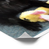 Belgischer Schäferhund am Feuerplatz Poster (Ecke)