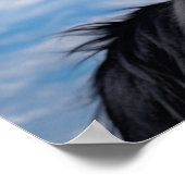Belgischer Schäferhund Groenendael Poster (Ecke)