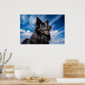 Belgischer Schäferhund Groenendael Poster (Küche)
