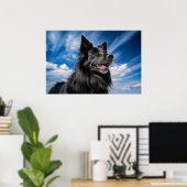 Belgischer Schäferhund Groenendael Poster (Heimbüro)