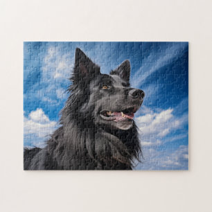 Belgischer Schäferhund Groenendael Puzzle