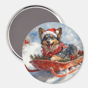 Belgischer Schäferhund in Sledge Let it Schnee Wei Magnet