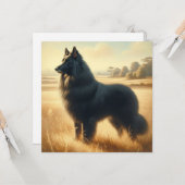 Belgischer Schäferhund Karte (Vorderseite/Rückseite Beispiel)