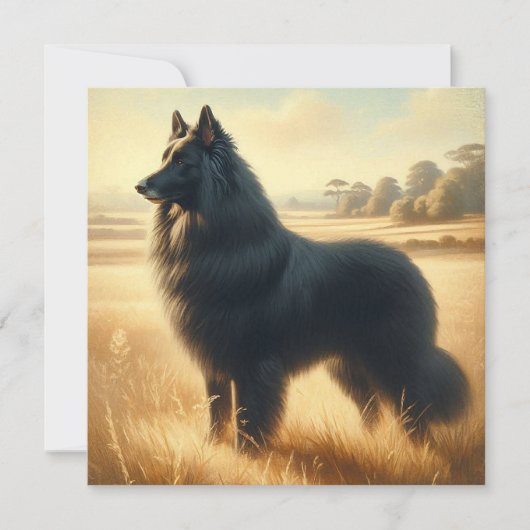 Belgischer Schäferhund Karte (Vorderseite)