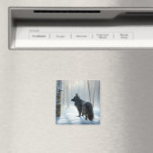 Belgischer Schafhund lässt Schnee Weihnachten Magnet (In Situ (Geschirrspüler))