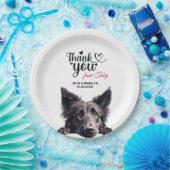 Belgischer Schafhund Pappteller (Party)