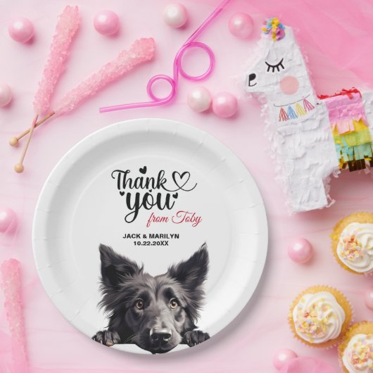 Belgischer Schafhund Pappteller (Party)