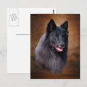 Belgischer Schafhund Postkarte (Vorne/Hinten)